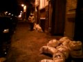 MOV00474.MP4