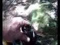 Skull Discovery ( follow up report )