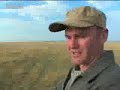 Lions-vs-giant-king-