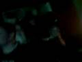 videos de styfler´s prive$$$$$$$