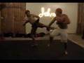 kung fu vs mma
