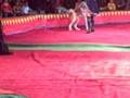 videos de kyiv circus part 1