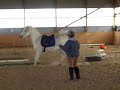 Sain't and the after dump trot