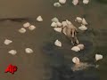 Raw Video: Food Drops to Victims of India Floods