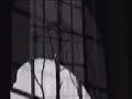 asylum song