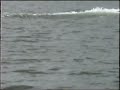 12-17-2009 00001.avi