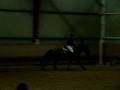 videos de Estelle et Michocco