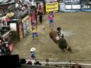 rodeo