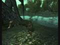 How to improve performances of Oblivion