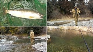 東京あきる野・秋川で釣り、渓流の女王ヤマメを炭火焼でいただきます!!