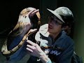 my pastel 5 foot boa constrictor
