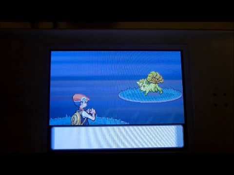 how to get pp up in pokemon diamond