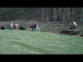 Laying out sod w/ Chris Orser Landscaping