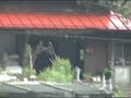 Japan Summer Farmhouse