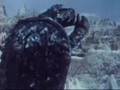 Safety Dance Gamera