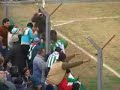 Gato GOL - No se olvida jamas Gato GOL - No se olvida jamas