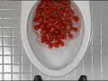 Danze One Flush Performance - 5 LBS. of Tomatoes Danze One Flush Performance - 5 LBS. of Tomatoes