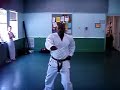 Shobayashi Shorin-ryu. Seisan Kata front view.