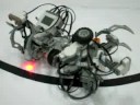 Lebots - Sumo - Colegio Las Heras