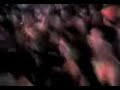 caetes fest 2008