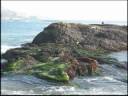 Stock Market Trading 1