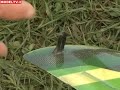 F3K - Veleggiatori RC da lancio a mano