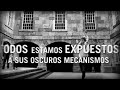 Reproducir v&iacute;deo