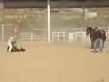Master Tie Down Roping Horse For Sale