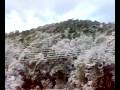 videos de Nevada a Font bona, Massìs de caditetes 2