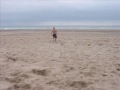 Shell Island