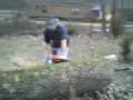 videos de Stihl 660 Big Bore