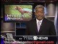Miles Needer WBAL Promo Reel