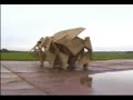 Rhinoceros