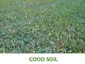Good Soil Part 1