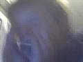 Bob Dylan -- Knockin on Heaven's Door + Harmonicas