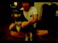Schnauzer Miniatura video