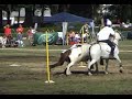 BENJAMINS- champ. europe mounted games 2008 BENJAMINS- champ. europe mounted games 2008