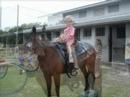 Myakka School Field Trip 2008