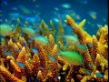 Western Australia TV Commercial