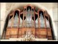 videos de J. H. Bach - Concerto in G major, BWV 592