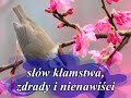 Tyle zostało dzisiaj po Raju