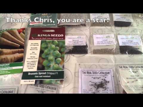 how to grow purple sprouting broccoli uk