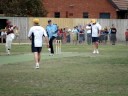 Warnie Bamboozles