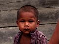 AMCAR-Guyana