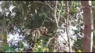 علامات في طريق  قرية عرب النفيعات  (بركة عطا وبرج المراقبة البريطاني ضد عمليات الثوار )