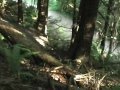 Whatcom Falls Parkour