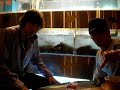 Episode 2: Lobsters!!