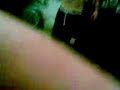 bollea el payaso de la banda