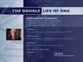 Rnai
