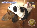 アンタッチャブルのマキマキでやってみよう!! #3 (1 of 3)
